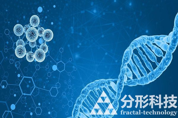 醫院網站建設:提升醫療服務水平與患者體驗 醫院網站建設:提升醫療服務水平與患者體驗